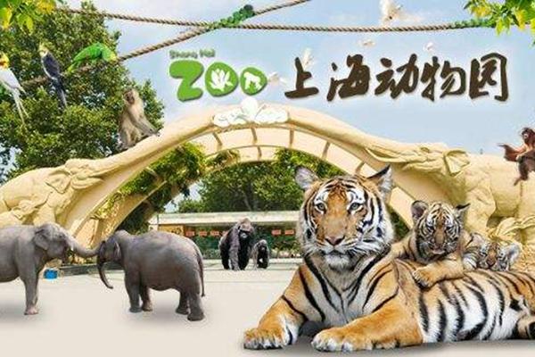 上海动物园开放时间是几点到几点(附交通指南)
