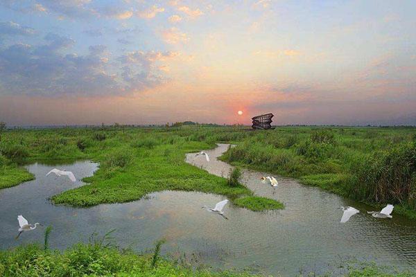泗洪洪泽湖湿地公园开放时间一览
