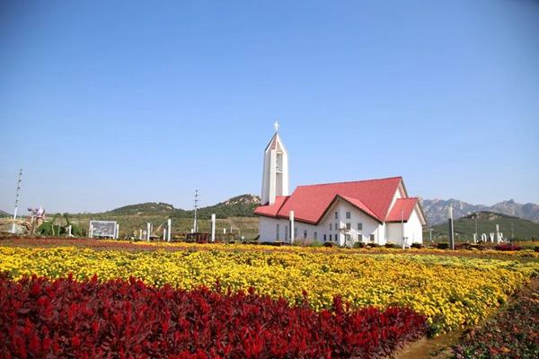 青島西海岸十大賞花好去處 青島西海岸賞花地推薦