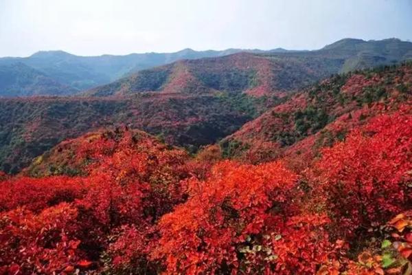 红河谷国家森林公园门票及优惠政策