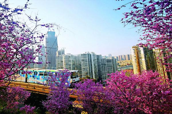 重庆开往春天的列车怎么去 在哪里