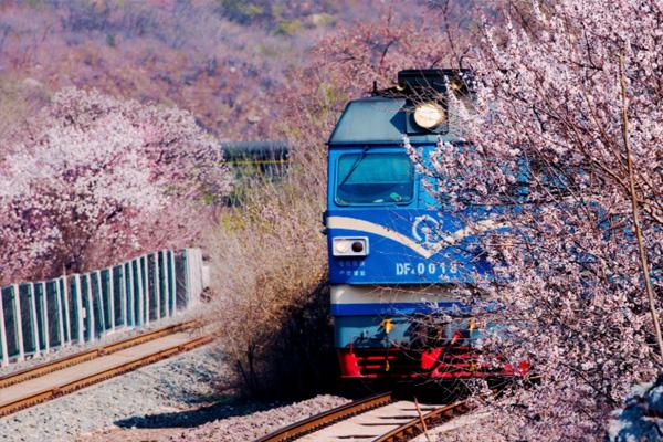 重庆开往春天的列车怎么去 在哪里