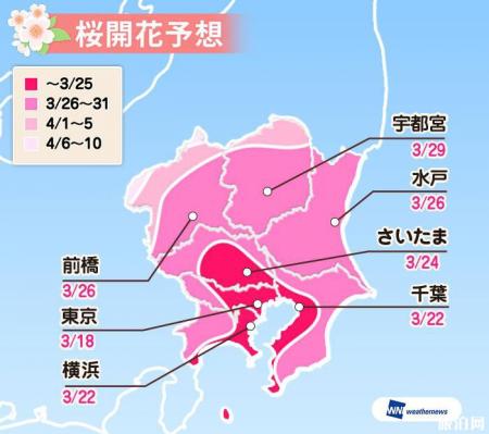 日本看樱花最好的时间 2022日本樱花预测开放时间+最佳观赏地点