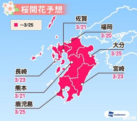日本看樱花最好的时间 2022日本樱花预测开放时间+最佳观赏地点
