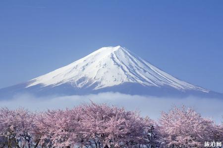 日本樱花前线2022时间 附推荐地点及美食推荐