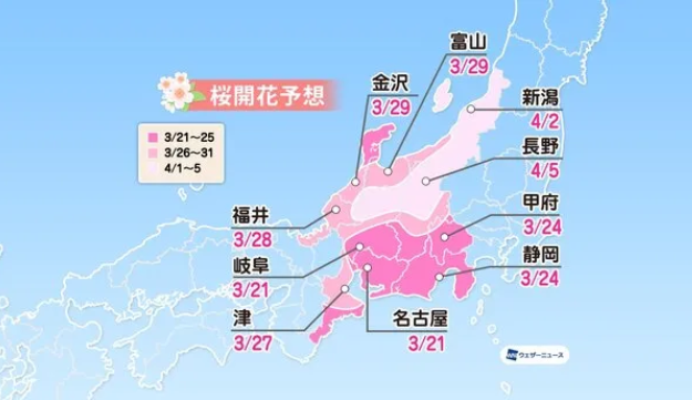 今年能去日本看樱花吗 2022日本樱花什么时候开
