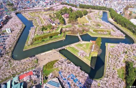 日本樱花前线2022时间 附推荐地点及美食推荐