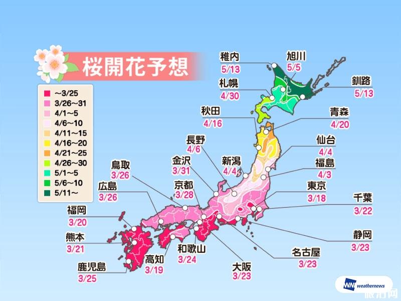 日本看樱花最好的时间 2022日本樱花预测开放时间+最佳观赏地点