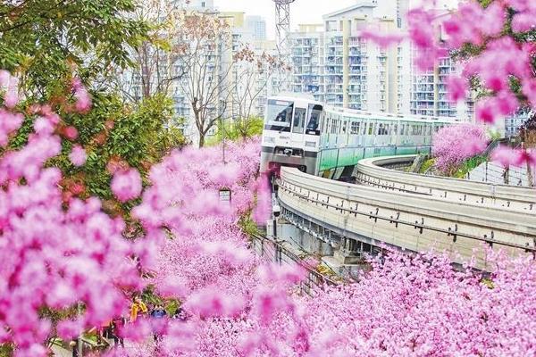 重慶開往春天的列車在哪里拍攝及打卡攻略