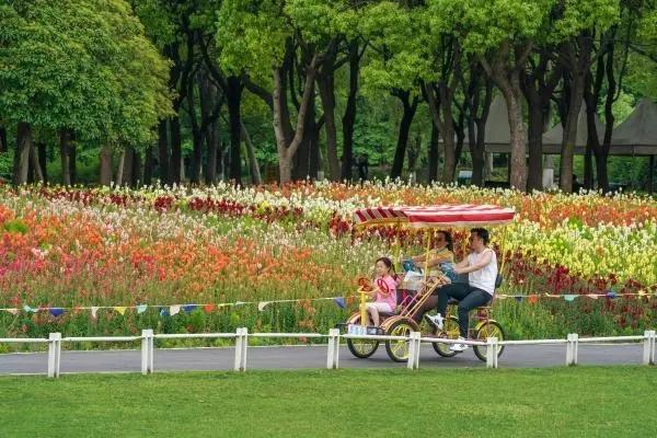 上海世纪公园交通路线指南