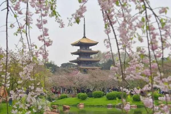 武漢晴川閣櫻花開放時(shí)間及門票價(jià)格介紹 附游玩路線