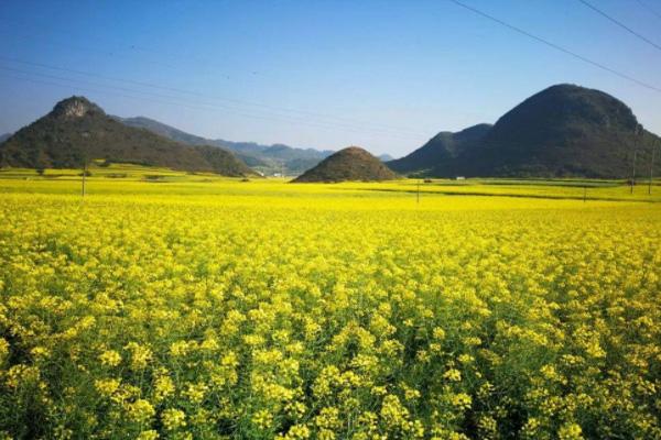 3月旅行最佳目的地 國內3月份旅游最佳地方推薦