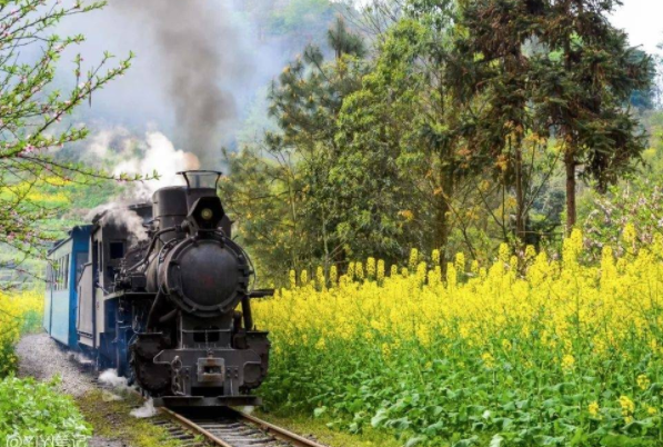 3月旅行最佳目的地 國內3月份旅游最佳地方推薦