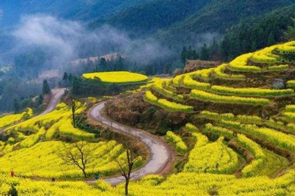 哈爾濱三月賞花好去處 哈爾濱賞花最佳地點