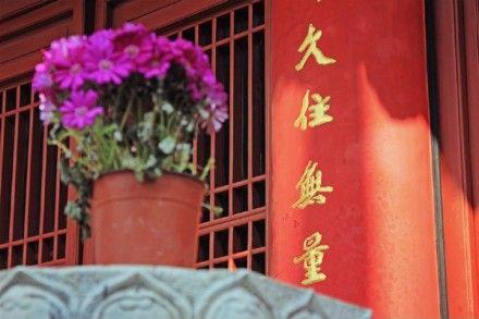 2022南京鸡鸣寺樱花门票介绍 附交通指南