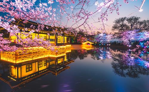 上海周边赏樱花的地方有哪些