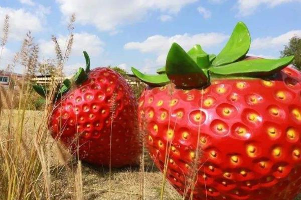 2022上海哪里有摘草莓的地方及最佳时节