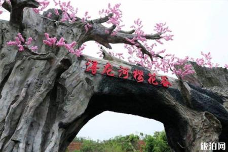 2022长沙浔龙河樱花谷门票交通及花期