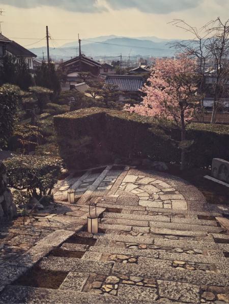 日本赏樱花最佳地点