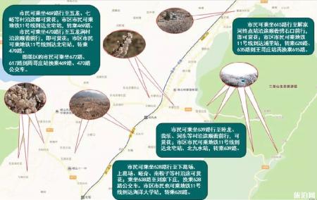 2022青岛樱花观赏乘车路线推荐 这些路线终点到处都是樱花