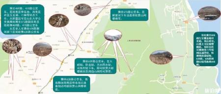 2022青岛樱花观赏乘车路线推荐 这些路线终点到处都是樱花