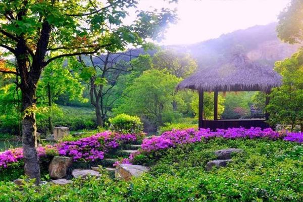 2022杭州花圃什么时候去最好 杭州花圃樱花什么时候开