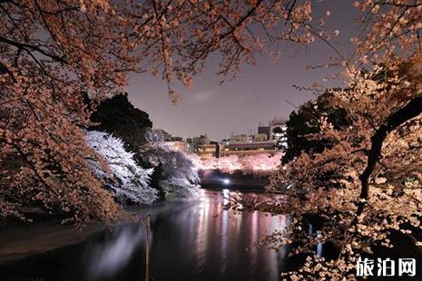 2022日本东京哪些地方可以看到樱花