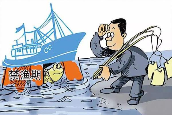 广州禁渔期2022年 广州禁渔期哪几个月