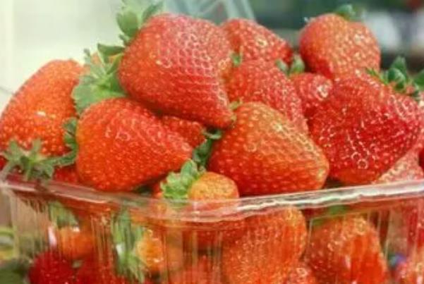 2024重庆摘草莓的地方在哪里