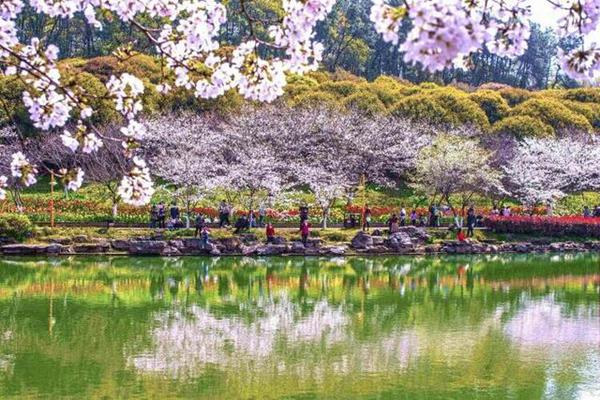 湖南植物园的七大景点是哪七个?