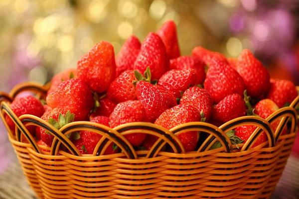 2022北京哪里有采摘草莓的地方