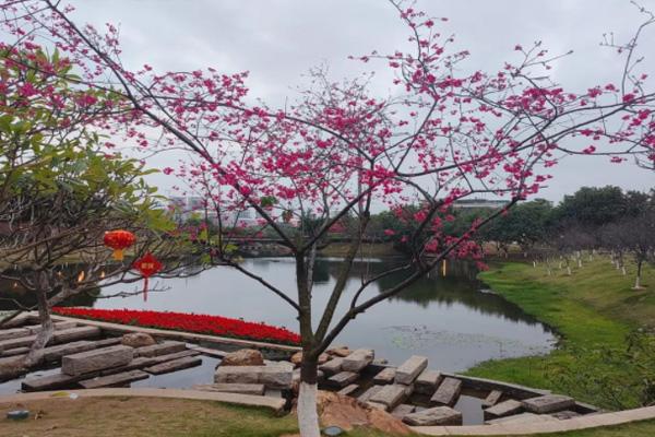广州黄埔创业公园怎么去