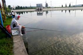 2022南京去哪里钓鱼比较好?钓一次鱼要多少钱?