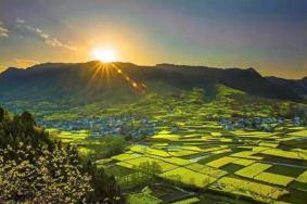 2022汉中油菜花节是几月份