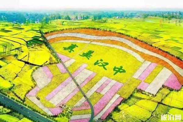 2022漢中油菜花節主會場在哪?附節日時間和路線