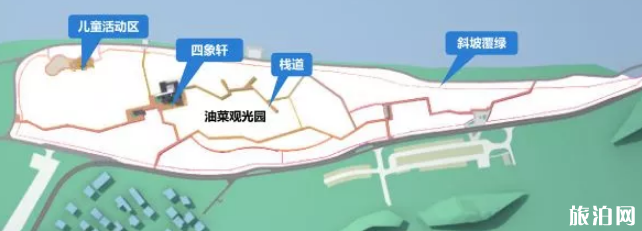 2022杭州建德黄饶半岛油菜花花期及路线推荐