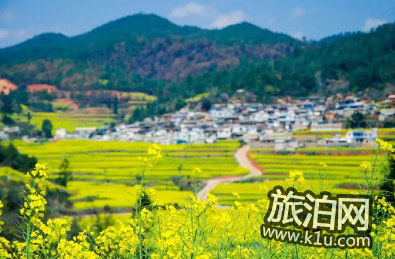 2022长沙油菜花在哪里看 2022长沙油菜花景点推荐