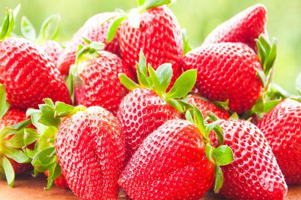 2022武汉草莓采摘园排行 武汉摘草莓哪里最好