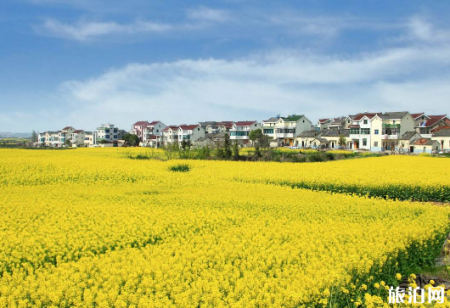 2022年汉中油菜花观赏攻略 附观赏路线和免票政策