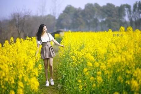 2022哪里的油菜花盛开最美?这些热门的地方不要错过