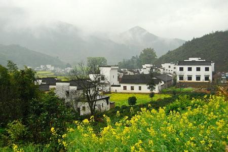 2022哪里的油菜花盛开最美?这些热门的地方不要错过