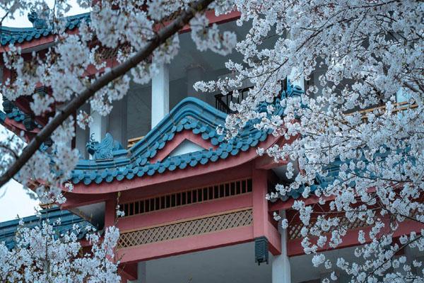 無錫黿頭渚公園門票如何預約