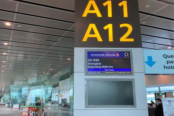 新加坡回国航班最新熔断信息2022