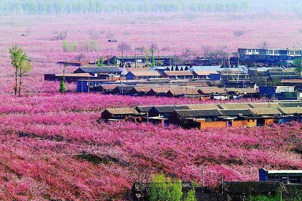 2022年平谷桃花节是几月几日 平谷桃花几月开花