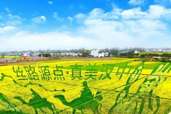 2022汉中油菜花节观花线路推荐