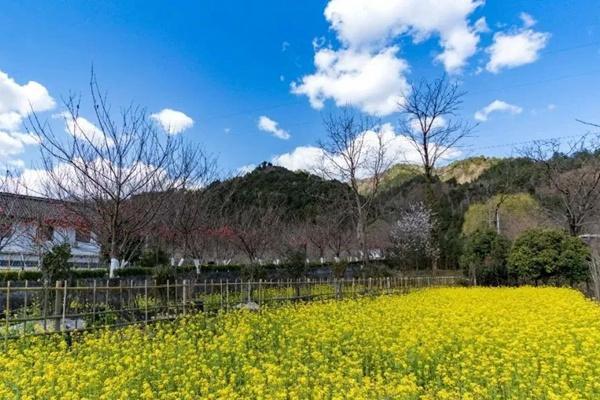 合肥点燃“消夏夜经济”