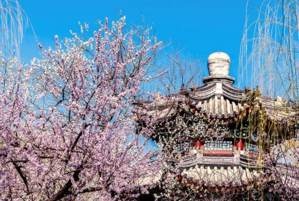 2022北京看花的景点推荐