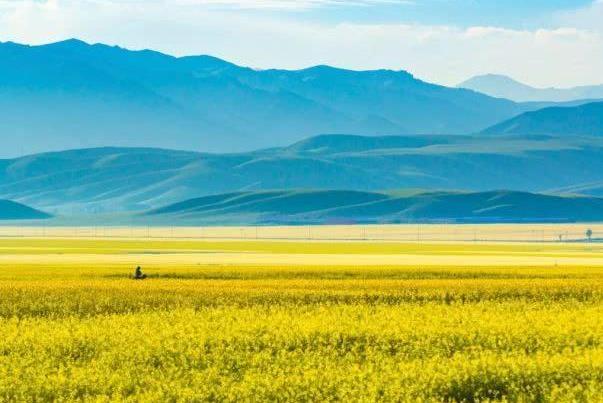 2022新疆赏花的地方及攻略