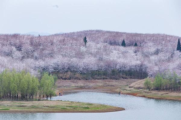 2022贵阳春季赏花踏青的地方有哪些