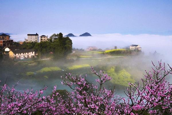 舟山桃花岛桃花什么时候开2022舟山桃花岛几月份去最好